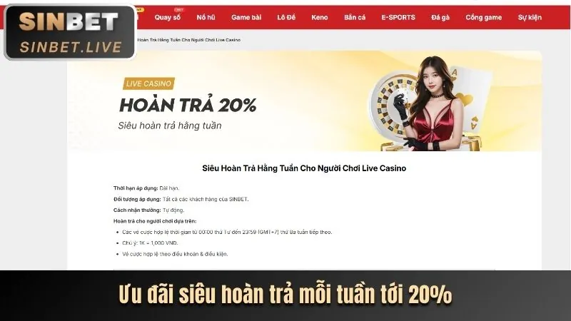 Hoàn trả hàng ngày tại vnd8